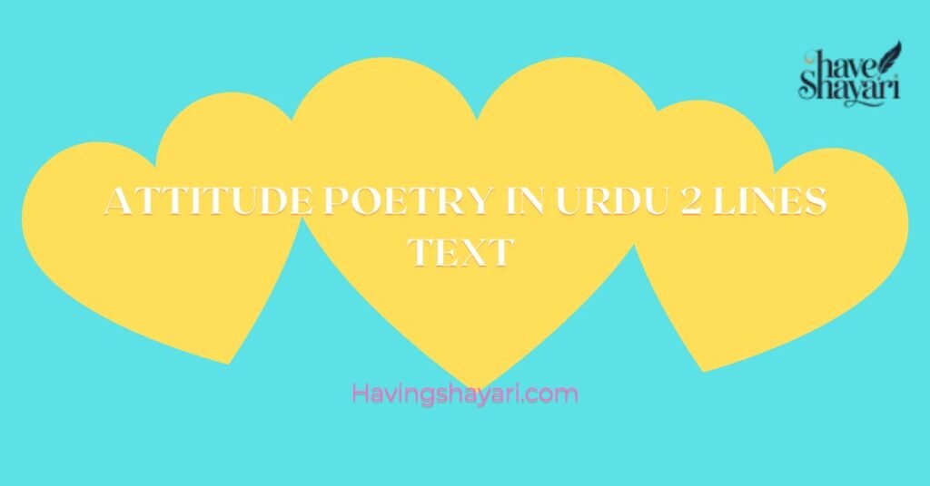 Attitude Poetry In Urdu 2 Lines Text